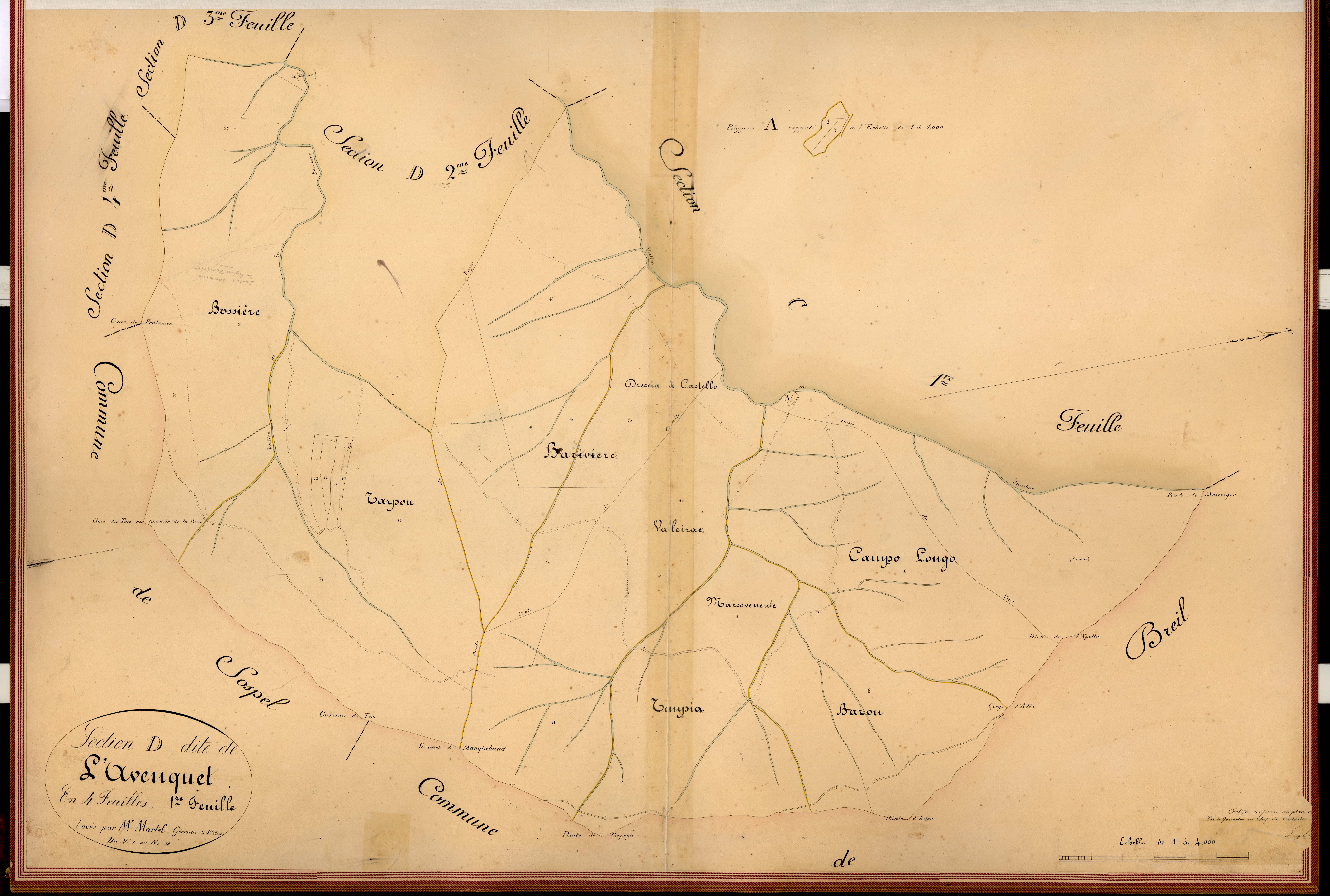 L'Avenquet. - Plan de section, D1