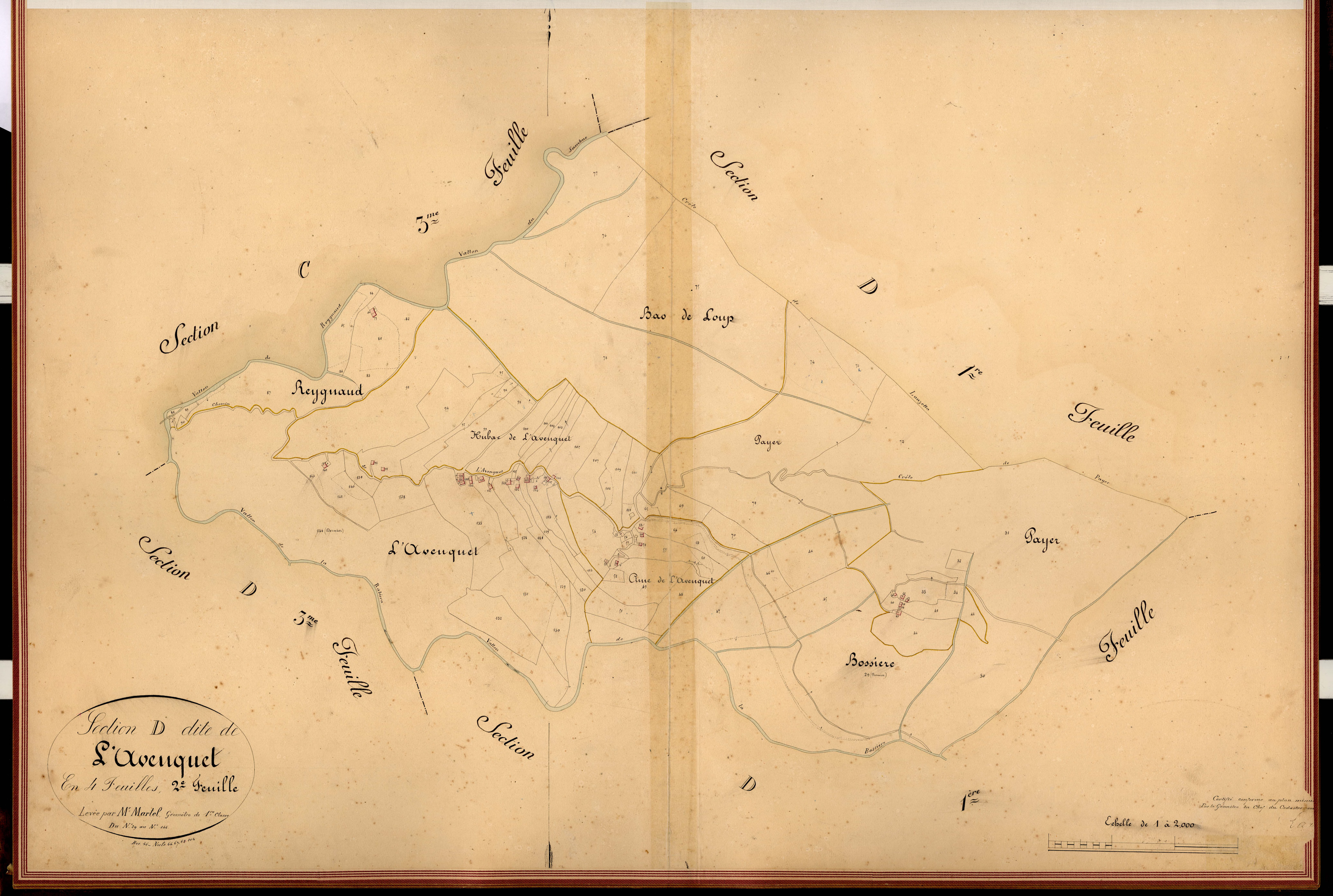L'Avenquet. - Plan de section, D2