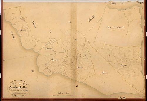Sambucchetto. - Plan de section, C1