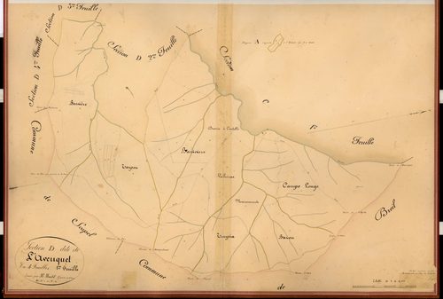L'Avenquet. - Plan de section, D1