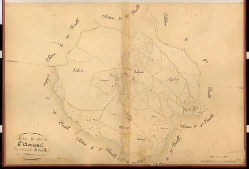 L'Avenquet. - Plan de section, D3