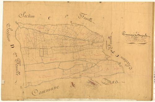 Adom, Adom. - Plan de section, C3