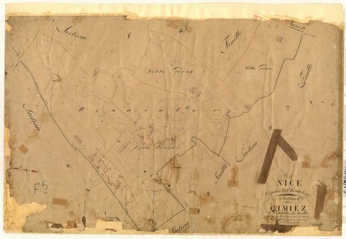 Cimiez. - Plan de section, III-F5