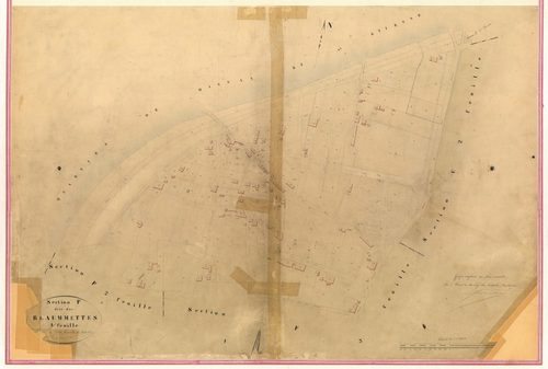 Baumettes. - Plan de section, VII-F1