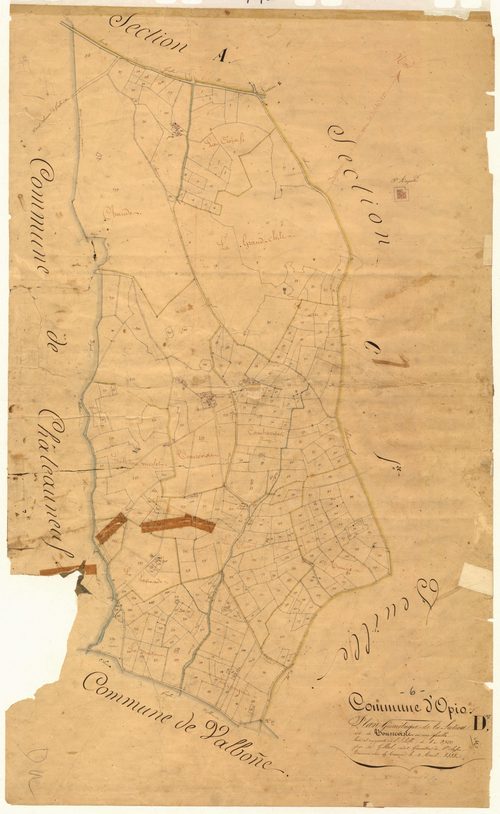 Tourreviste. - Plan de section, D
