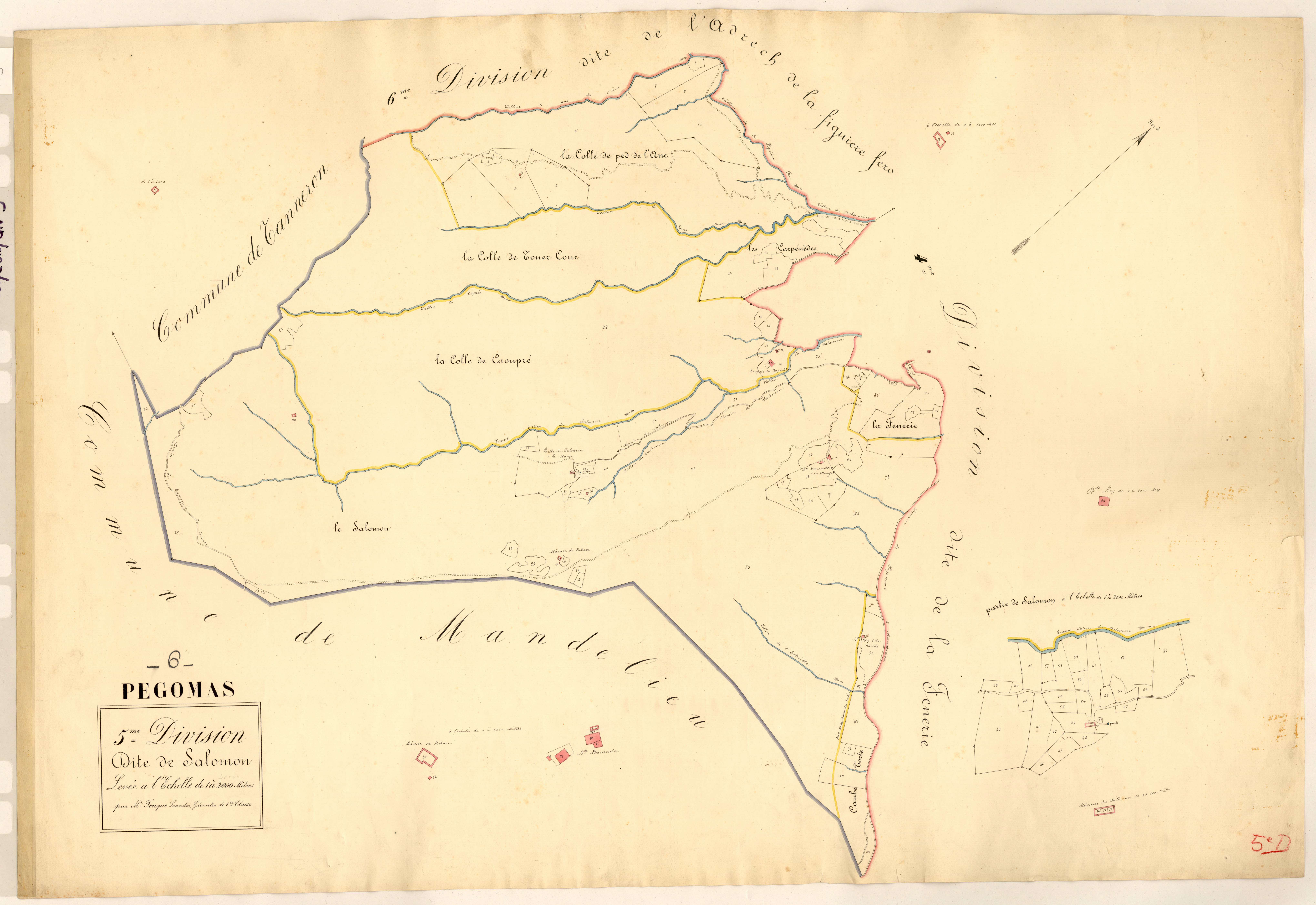 Salomon. - Plan de section, 5