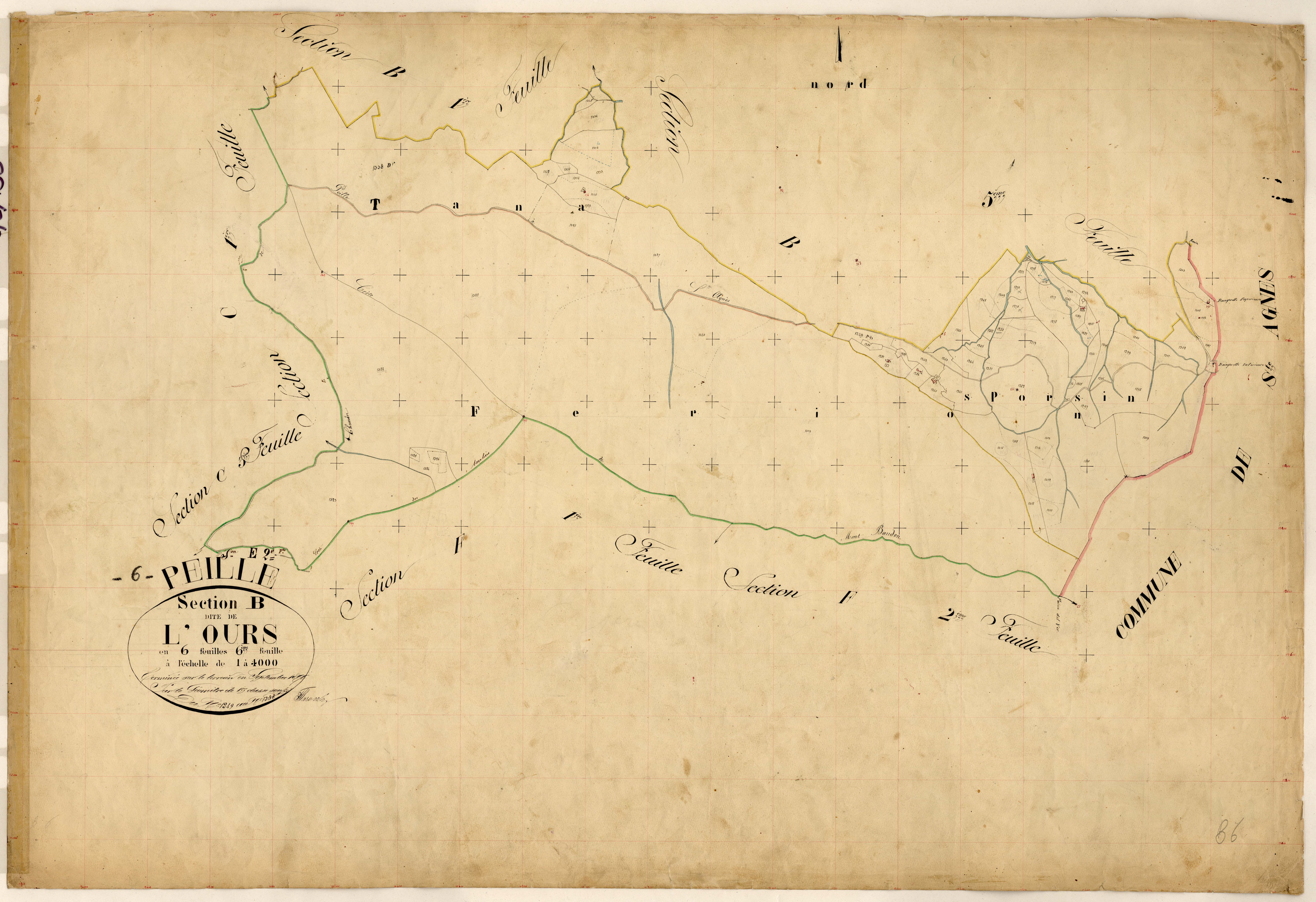 L'Ours. - Plan de section, B6