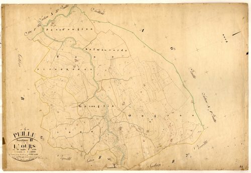 L'Ours. - Plan de section, B1