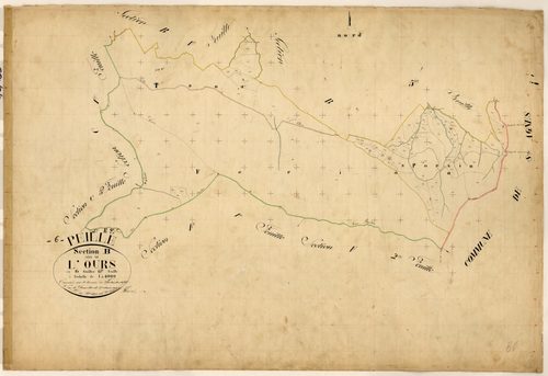 L'Ours. - Plan de section, B6
