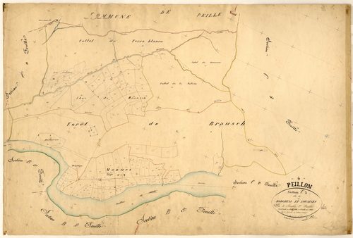 Borgheas et Novaines. - Plan de section, C2