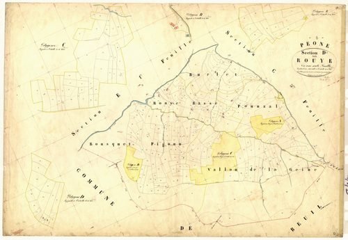 Rouye. - Plan de section, D