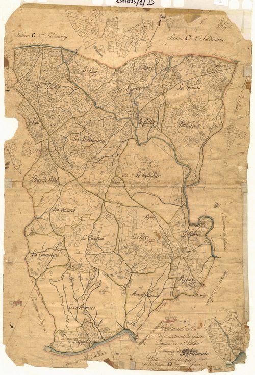 La Plaine : origine Cabris. - Plan de section, D