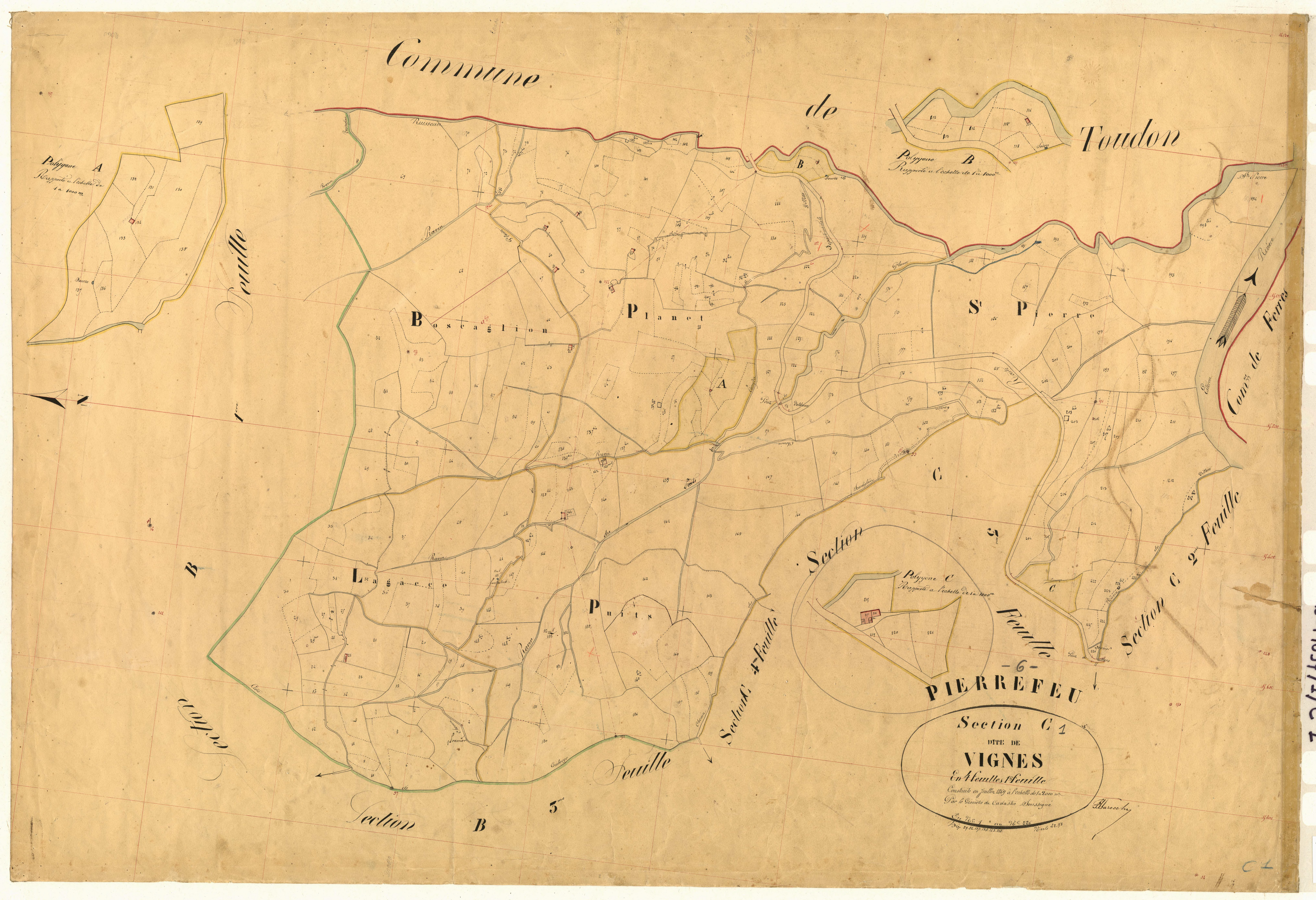 Vignes. - Plan de section, C1