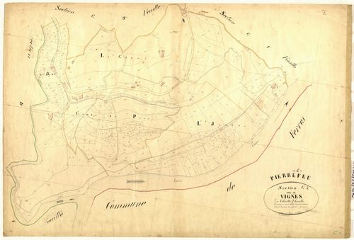 Vignes. - Plan de section, C2