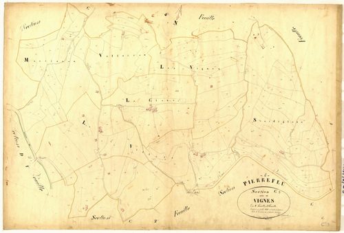 Vignes. - Plan de section, C3