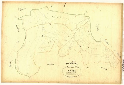 Vignes. - Plan de section, C4
