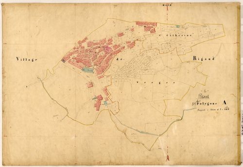 Rigaud (développement). - Plan de section, D2(d)