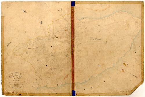 Le Cap Martin. - Plan de section, C1