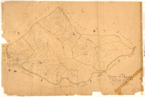 Notre-Dame. - Plan de section, A2