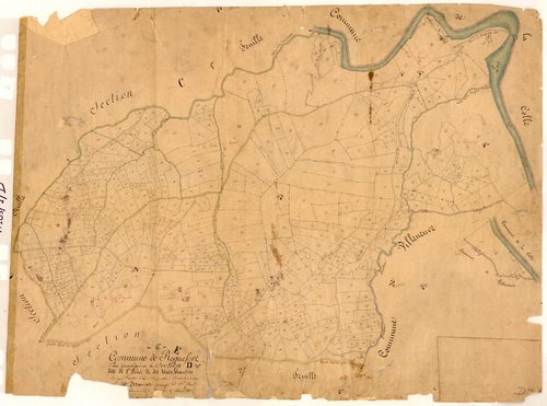 Saint-Peire et les Terres Blanches. - Plan de section, D