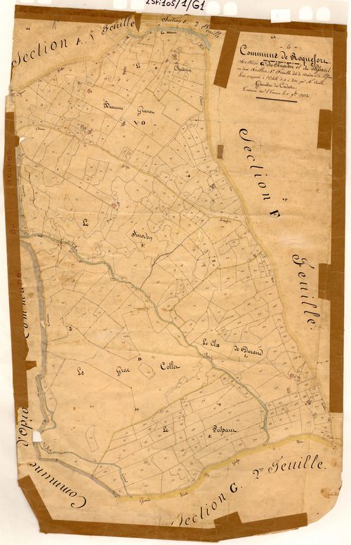 Le Sinodon et le Pessaut, le Sinodon et le Pessaut. - Plan de section, G1