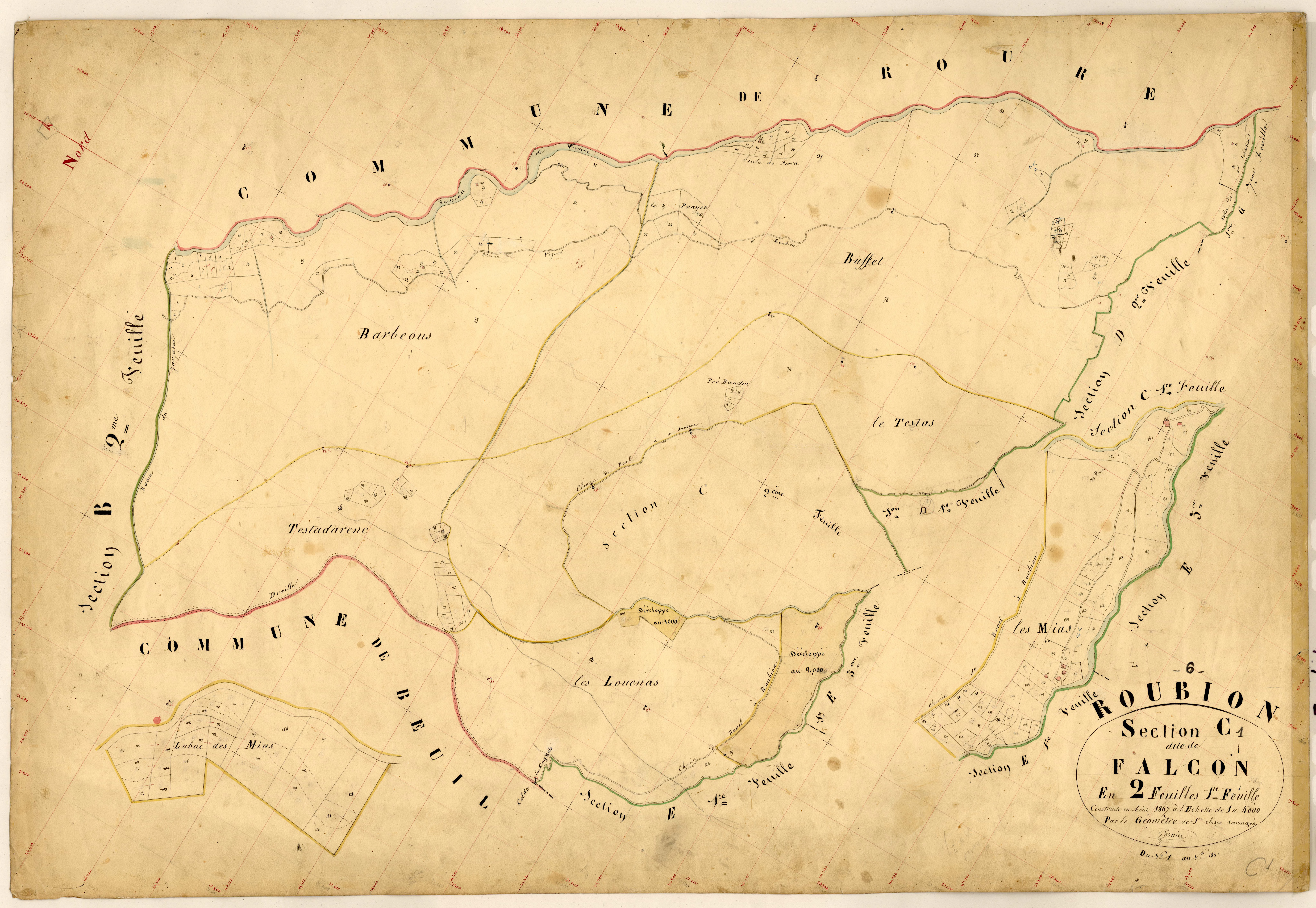 Falcon. - Plan de section, C1