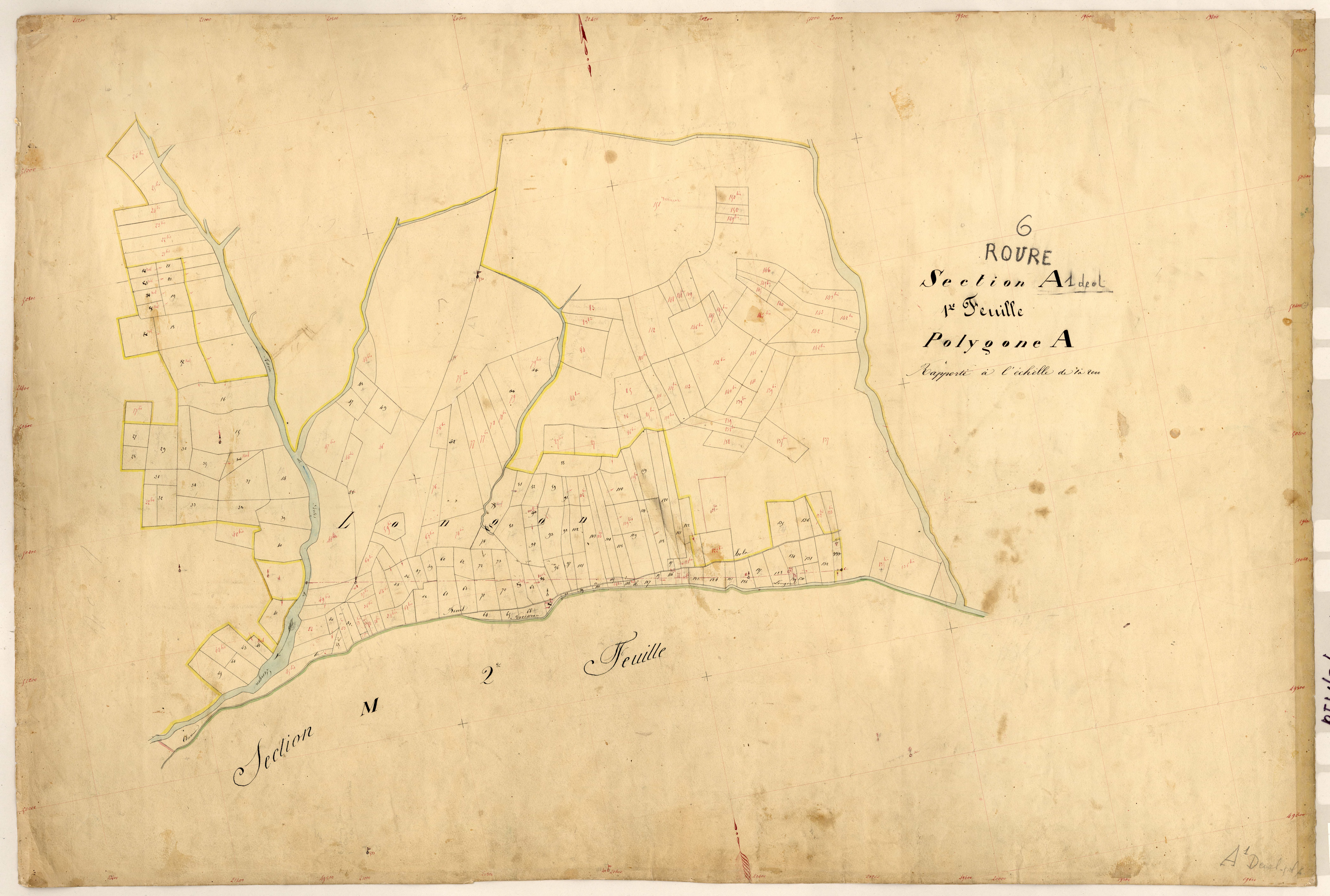 Longon (développement). - Plan de section, A1(d)