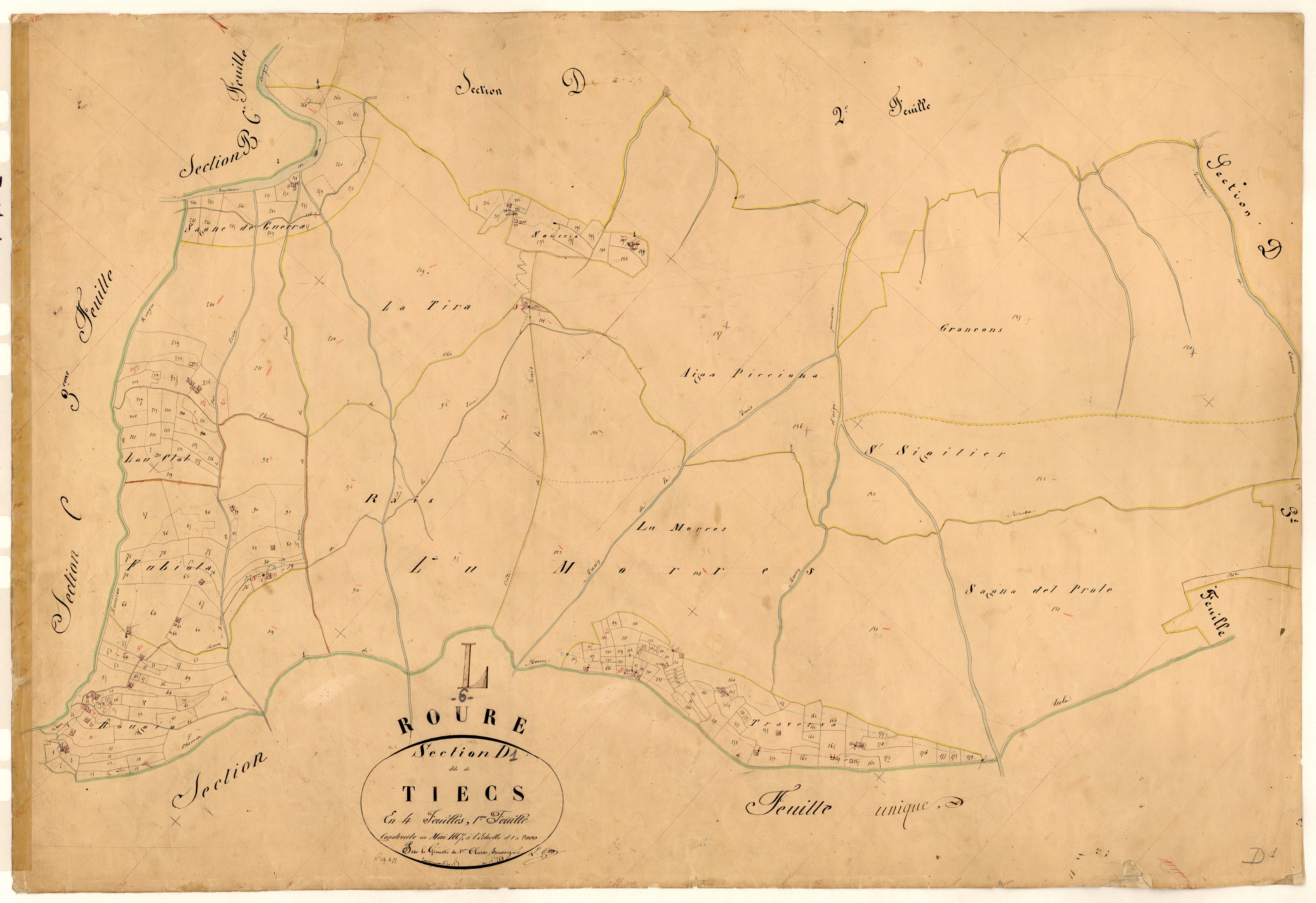 Tiecs. - Plan de section, D1