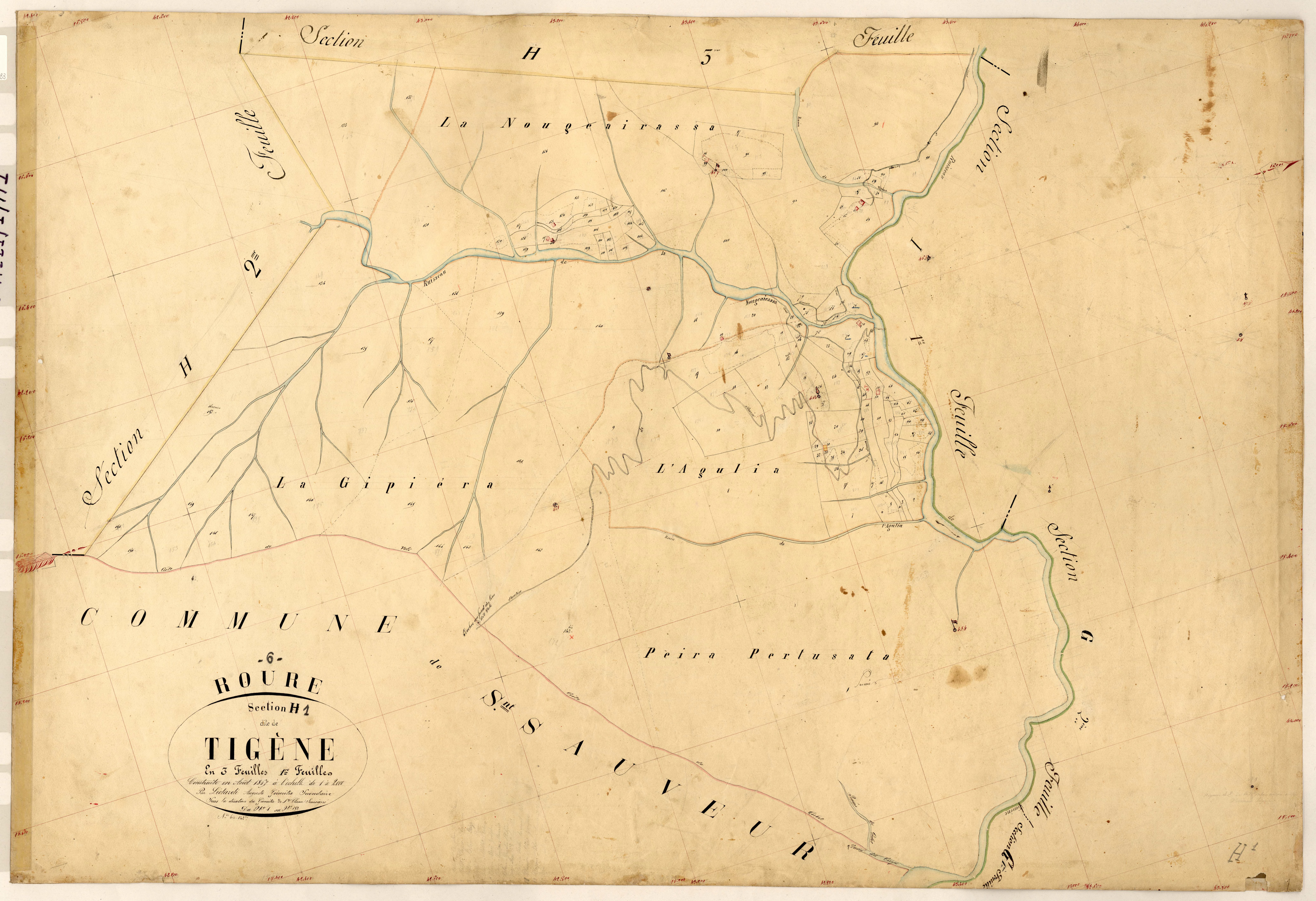 Tigène. - Plan de section, H1