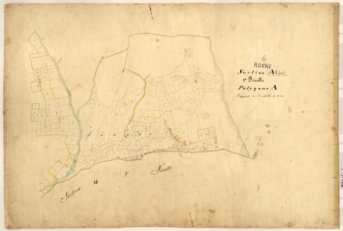 Longon (développement). - Plan de section, A1(d)