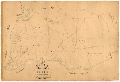 Tiecs. - Plan de section, D1