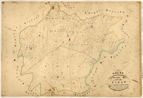 Ribes. - Plan de section, G2