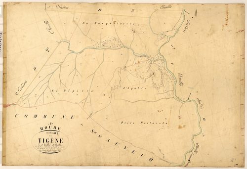 Tigène. - Plan de section, H1