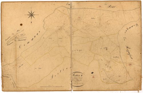 Le Vieux-Rouret. - Plan de section, A