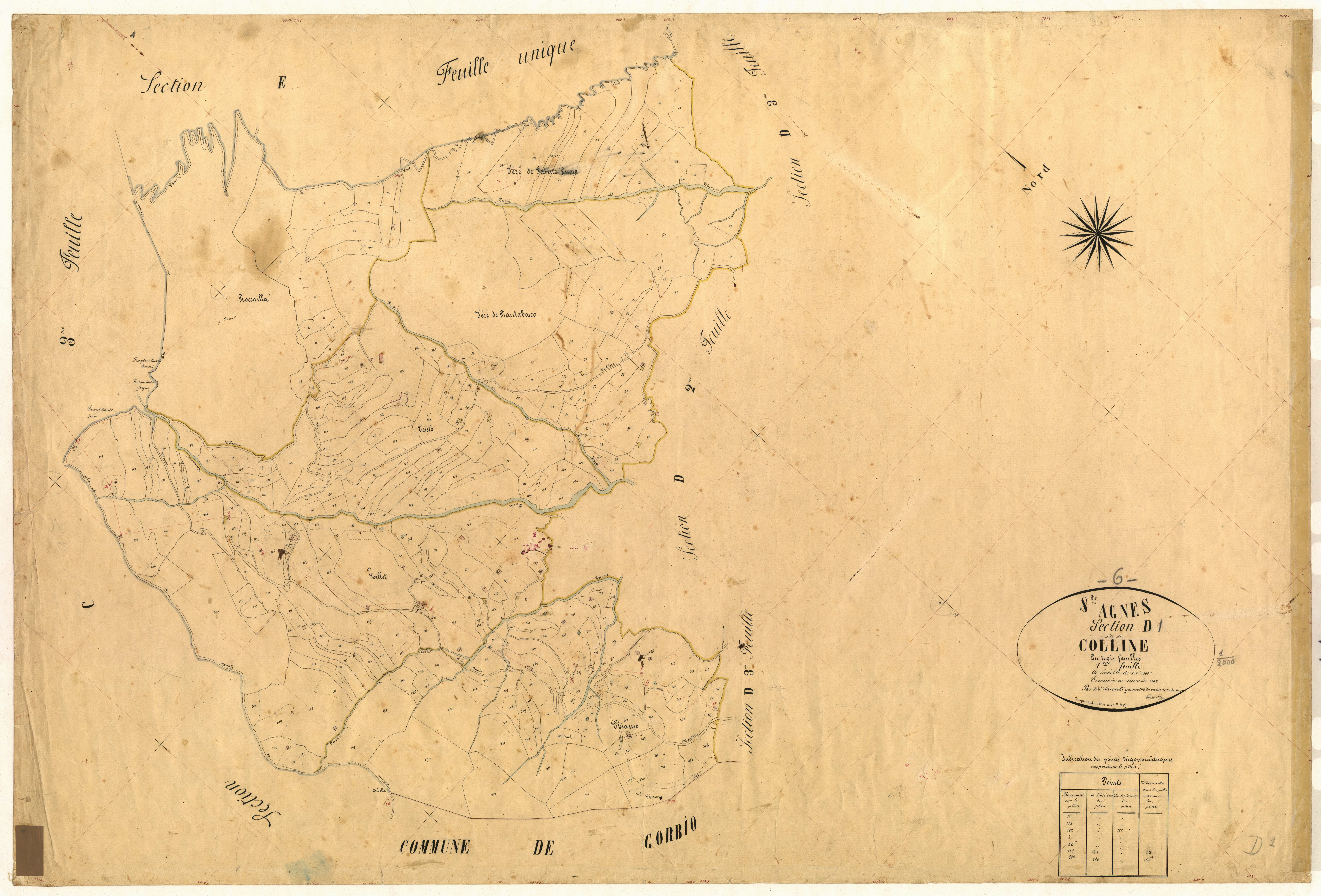Colline. - Plan de section, D1