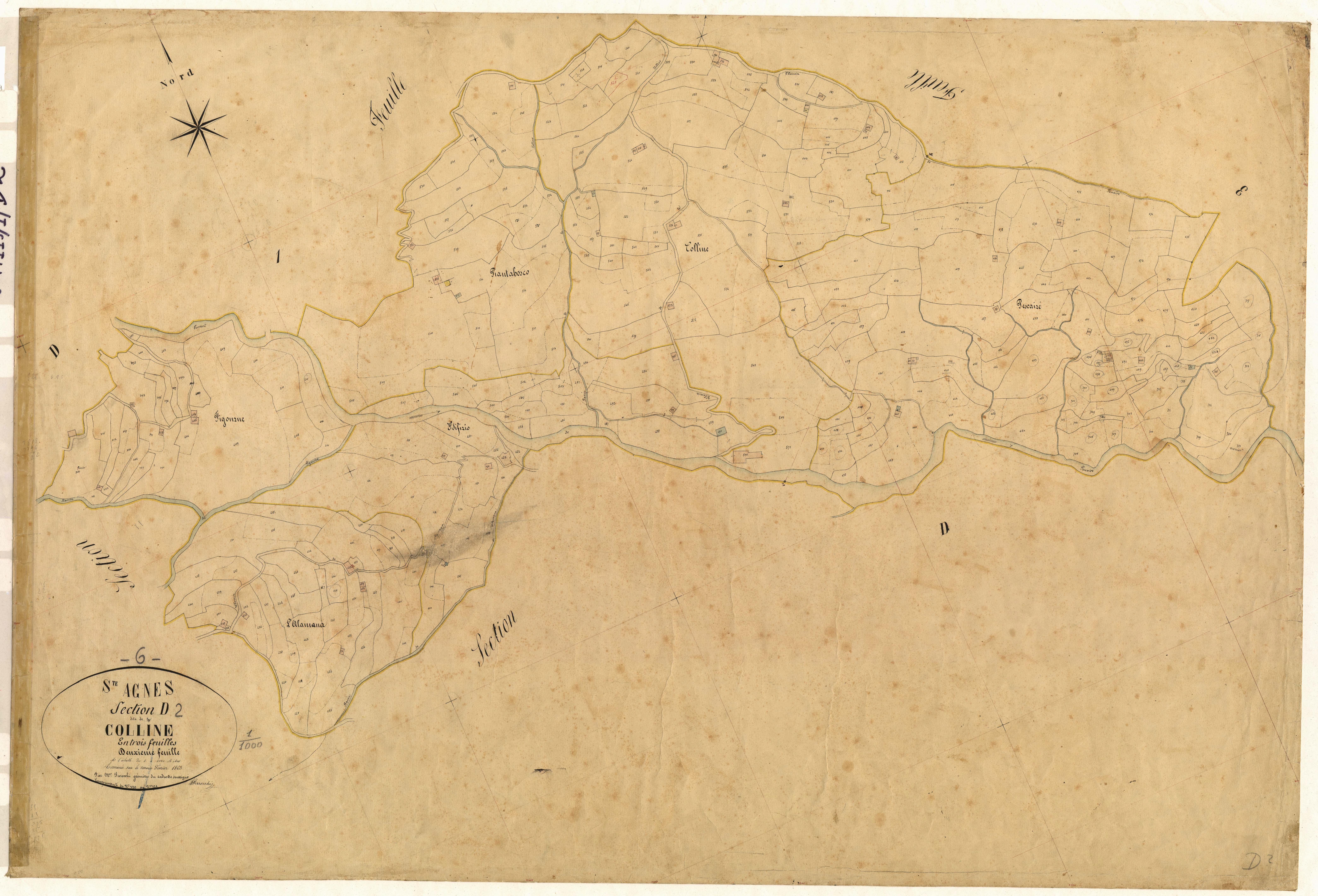 Colline. - Plan de section, D2