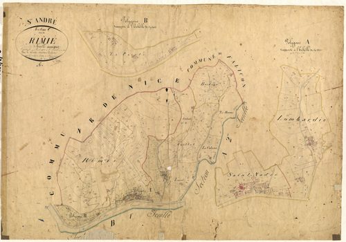 Rimie. - Plan de section, C