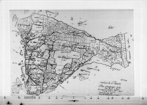 Le Plan. - Plan de section, B