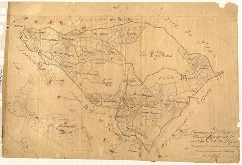 Le Défens. - Plan de section, C