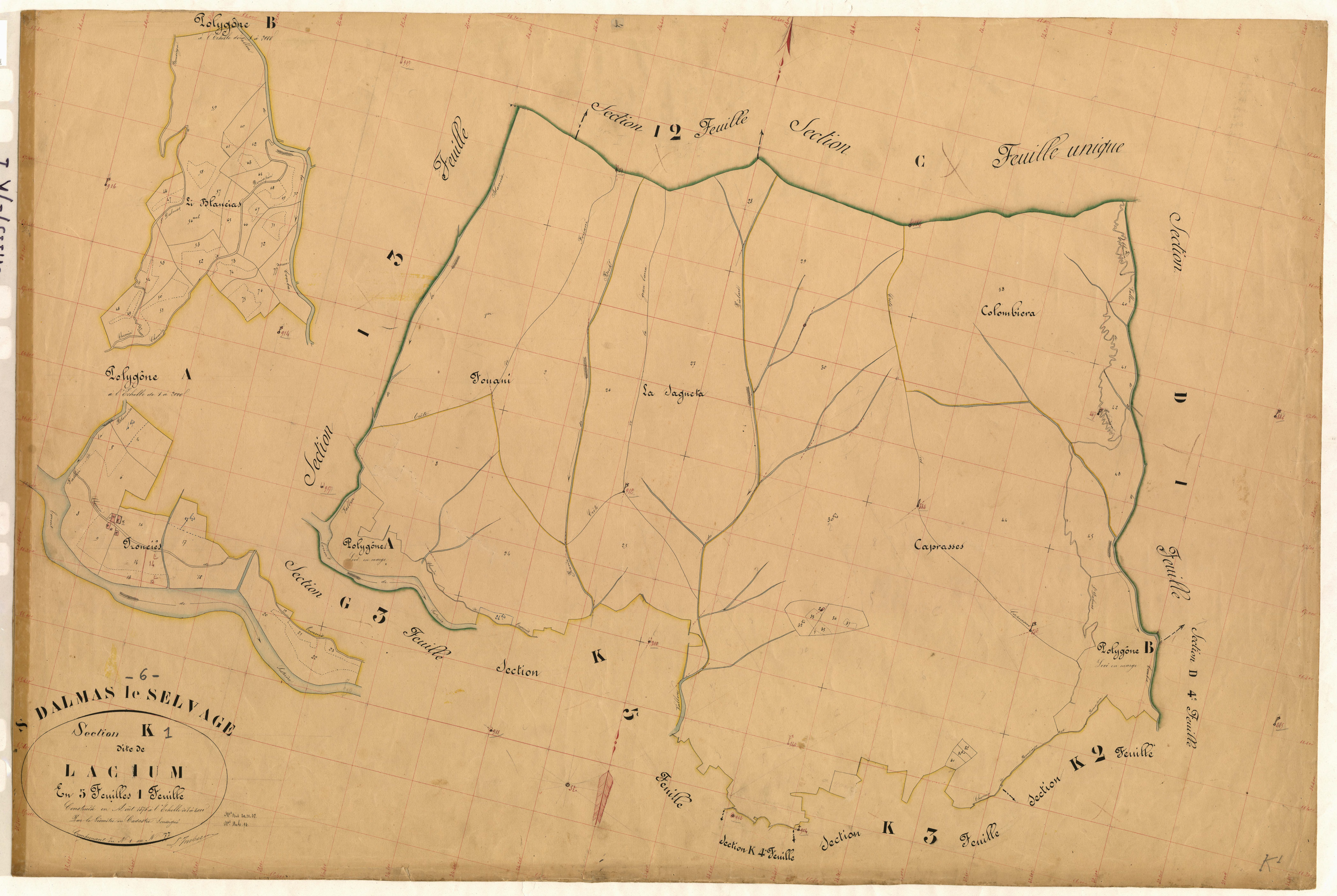 Lacium. - Plan de section, K1