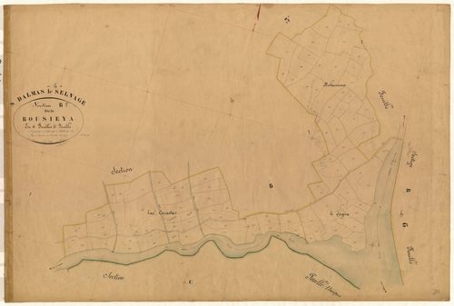 Bousieya. - Plan de section, B5