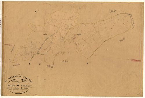 Bois de Ville. - Plan de section, E2