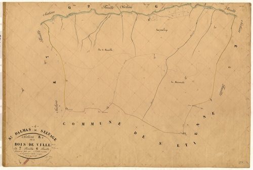 Bois de Ville. - Plan de section, E6
