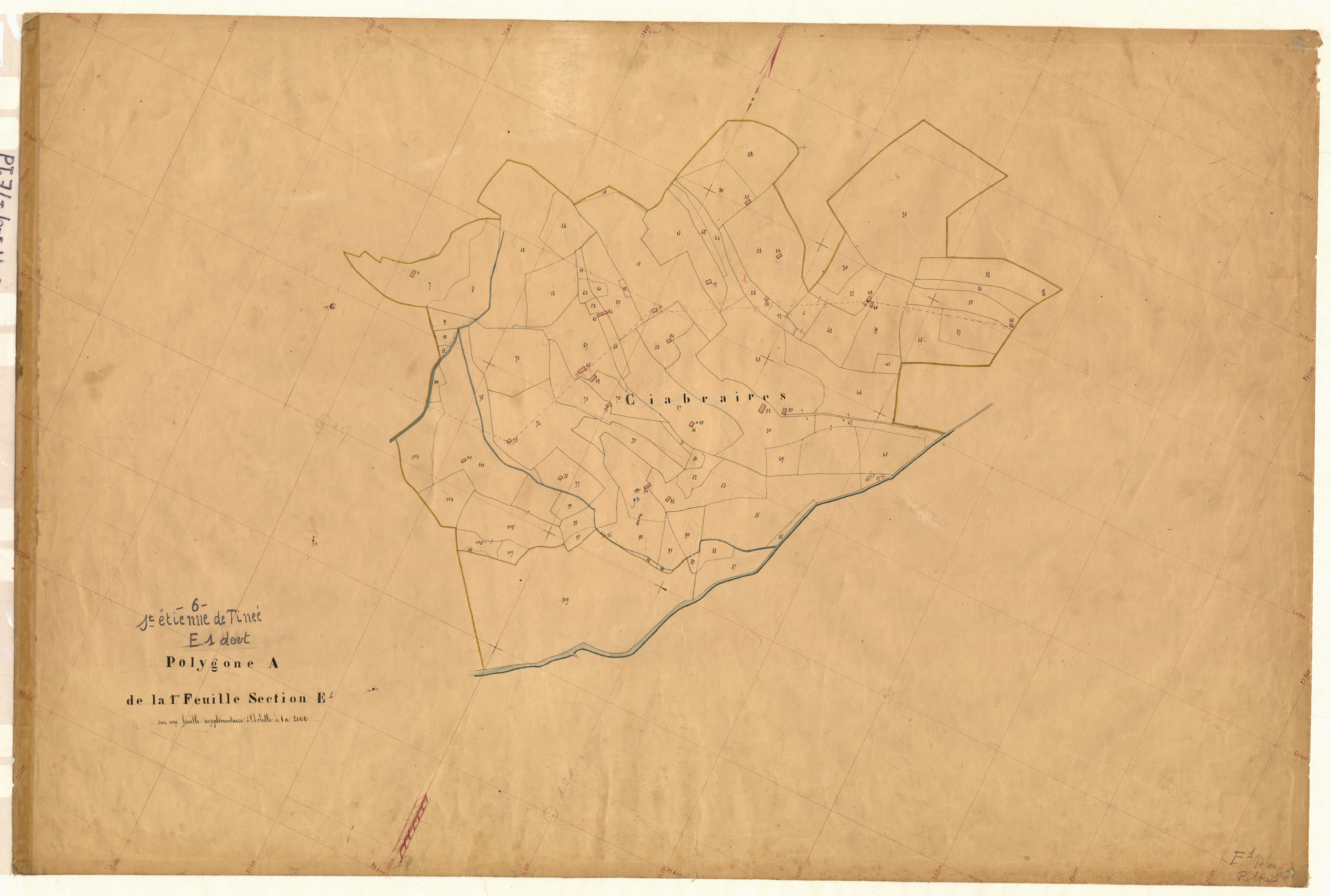 Ciabraires (développement). - Plan de section, E1(d)