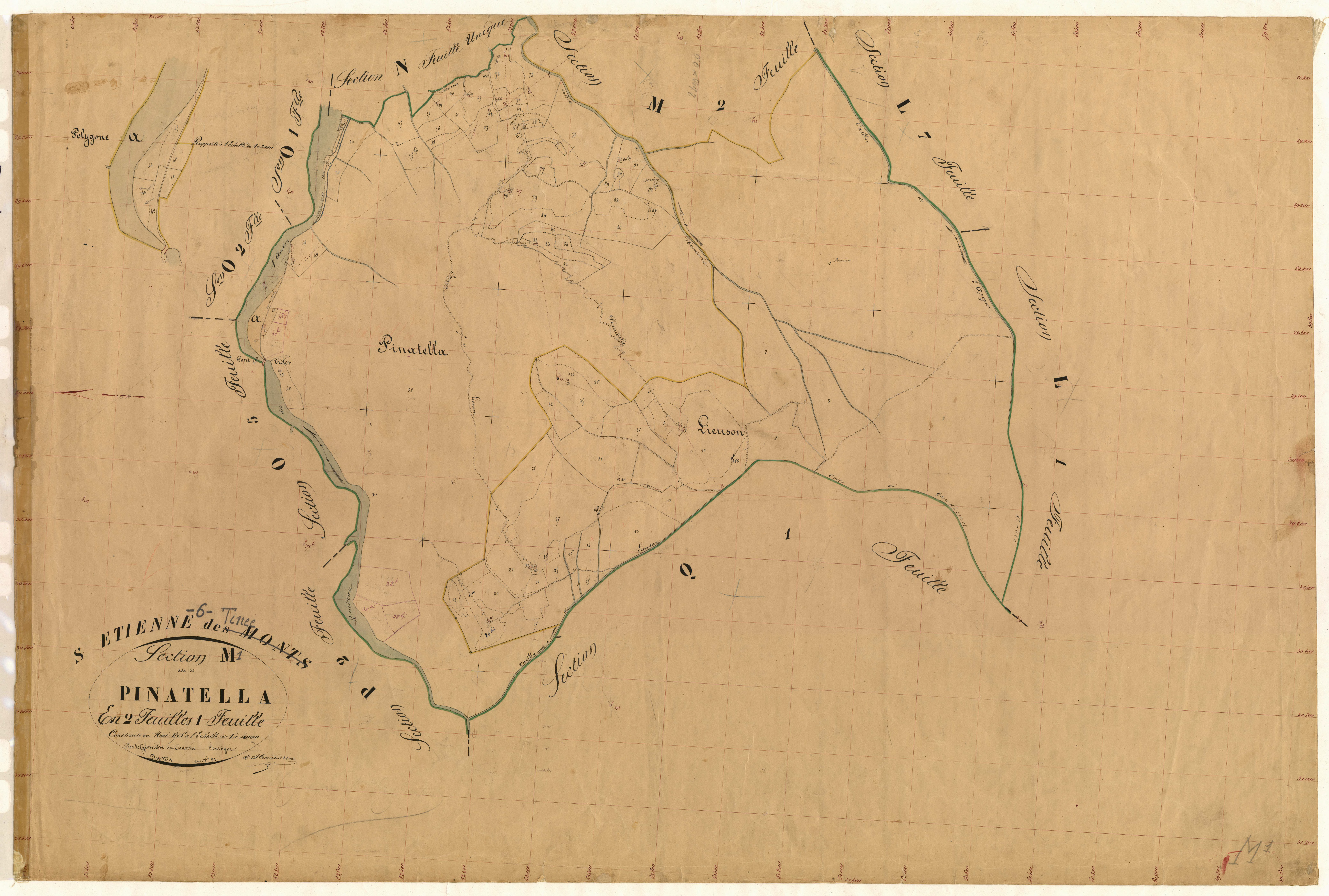 Pinatella. - Plan de section, M1
