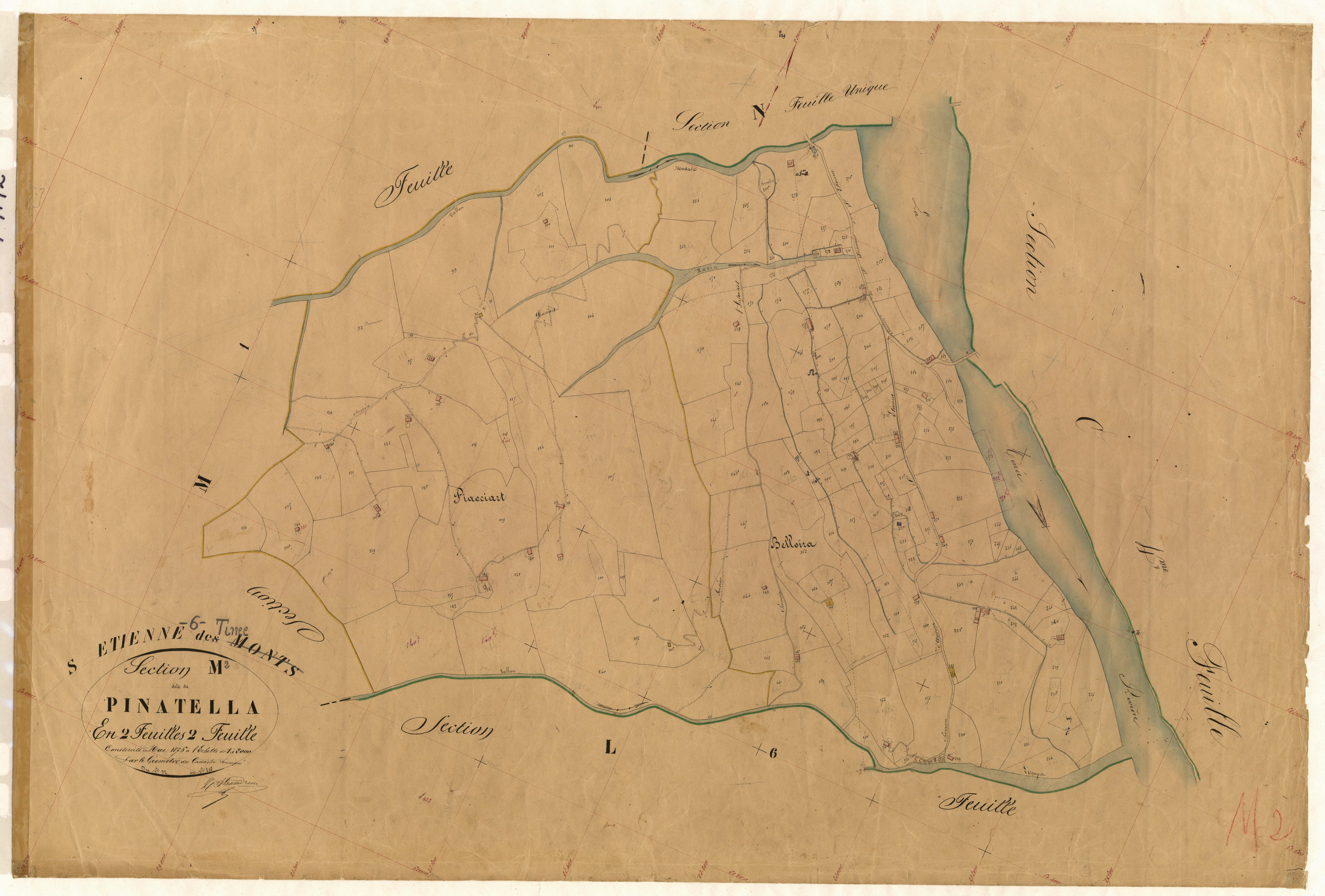 Pinatella. - Plan de section, M2