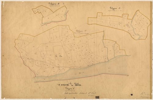 Vens (développement, 1ère partie). - Plan de section, A3(d1)
