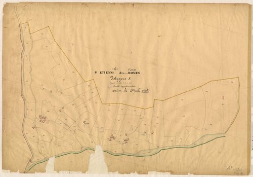Vens (développement, 2ème partie). - Plan de section, A3(d2)