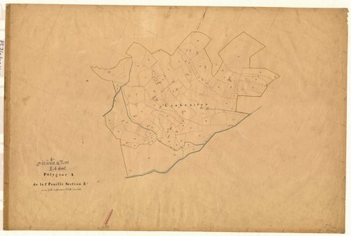 Ciabraires (développement). - Plan de section, E1(d)
