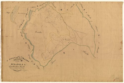 Pinatella. - Plan de section, M1